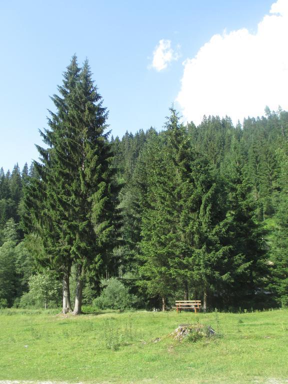 Ferienhaus Schwarzenbacher Lungötz