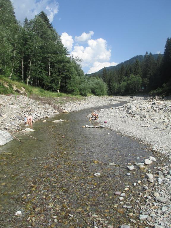 Schwarzenbacher Lungötz