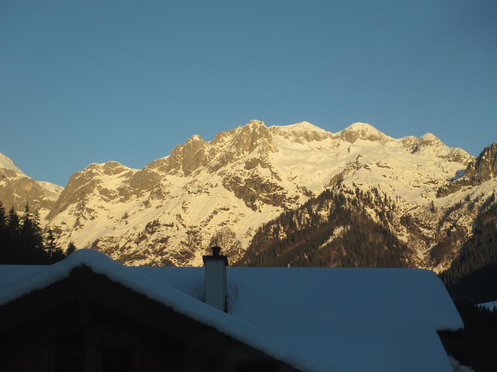 Schwarzenbacher Ferienhaus *
