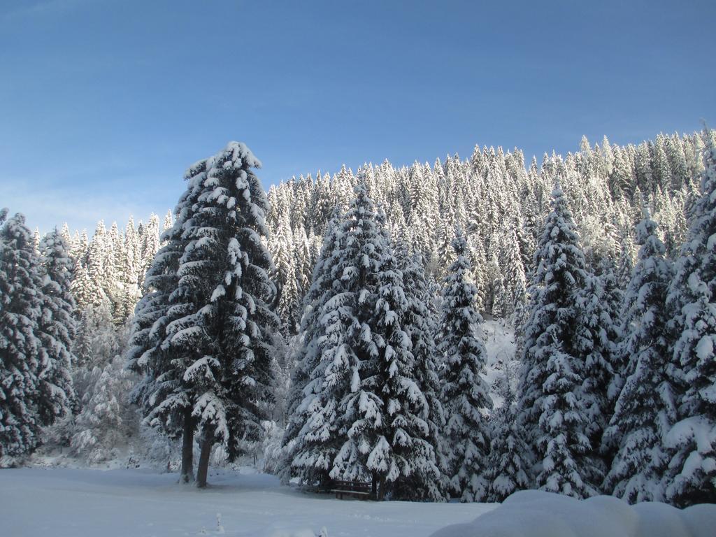 Schwarzenbacher * Lungotz