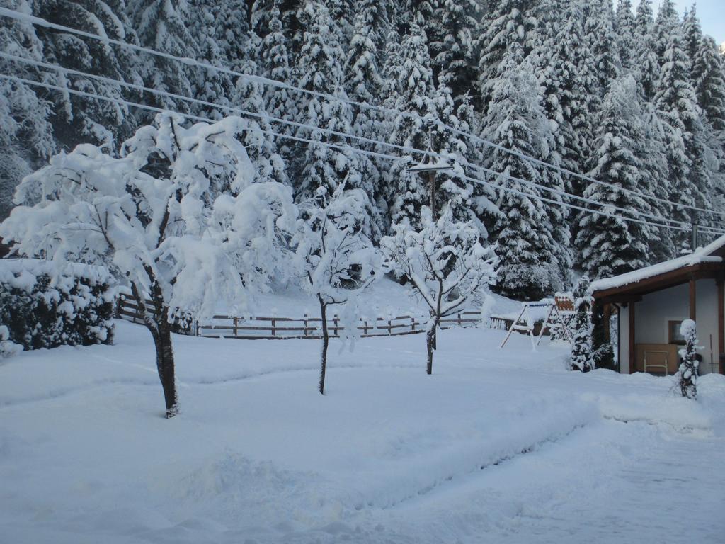 Schwarzenbacher Holiday home Lungotz